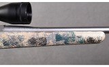 Tikka ~ T3 ~ .300 Winchester Magnum - 4 of 11