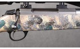 Tikka ~ T3 ~ .300 Winchester Magnum - 3 of 11