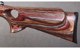 Savage Arms ~ 93R17 ~ .17 HMR - 9 of 11