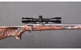 Savage Arms ~ 93R17 ~ .17 HMR - 11 of 11