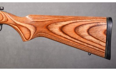 Ruger ~ All-Weather 77/22 ~ .22 Hornet - Image 16 of 18