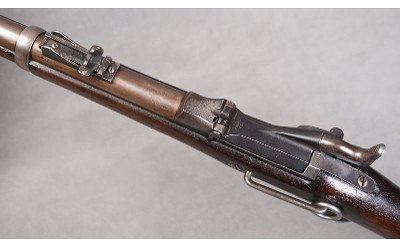 Springfield ~ Model 1884 "Trapdoor" ~ - Image 14 of 15