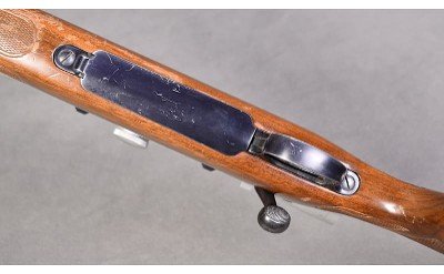 Remington ~ Model 700 ~ .25-06 Remington - Image 7 of 14