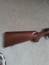 Kimber of Clackamas Oregon model 84 223 - 1 of 7