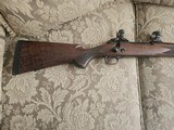 Winchester model 70 in 404 jeffery - 4 of 13