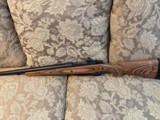CZ 550 Magnum in 505 Gibbs