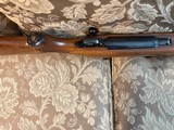 Ruger Safari, Magnum, RSM 458 Lott - 12 of 15