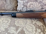 458 Lott Kimber Caprivi - Image 5 of 14