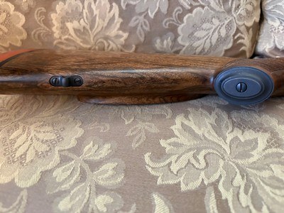 458 Lott Kimber Caprivi - Image 10 of 14