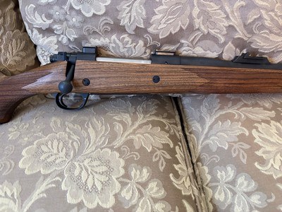 458 Lott Kimber Caprivi - Image 7 of 14