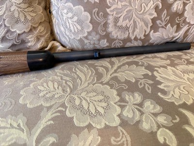 458 Lott Kimber Caprivi - Image 11 of 14