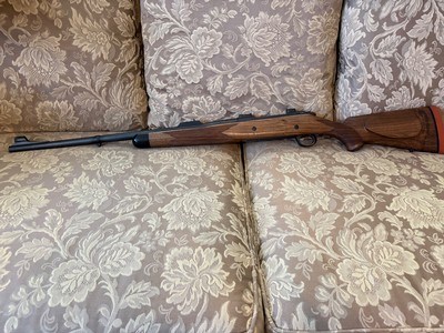 458 Lott Kimber Caprivi - Image 2 of 14