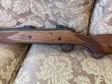458 Lott Kimber Caprivi - Image 4 of 14