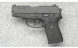 Sig Sauer Model P239 in 40 S&W - 2 of 4