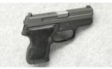 Sig Sauer Model P224 in 9mm Para - 2 of 4