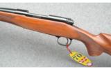 Winchester Model 70 Cabela's Edition in 7mm Mag - 4 of 7