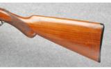 Remington Model 1900 in 12 Gauge - 7 of 7