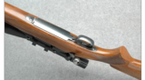 Winchester Model 70
Pre-64 in 338 Win Mag - 4 of 7
