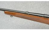 Winchester Model 70 Transition
Pre-64 in 30-06 Sprg - 6 of 9