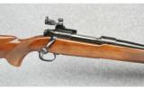 Winchester Model 70 Transition
Pre-64 in 30-06 Sprg - 2 of 9