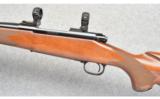 Winchester Model 70 XTR Sporter in 264 Win - 4 of 7