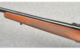 Winchester Model 70 XTR Sporter in 264 Win - 6 of 7