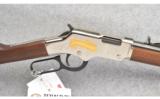 Henry Repeating Arms Farmer Tribute
in 22 LR - 2 of 9