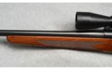 Winchester Model 70 Classic, .300 H&H - 6 of 8