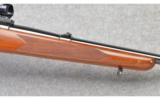 Winchester Pre-64 Model 70 in 270 Win - 8 of 9