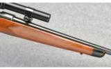 Winchester Model 52 Sporter in 22 LR - 9 of 9
