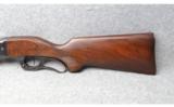 Savage 99 in 300 Savage - 8 of 8