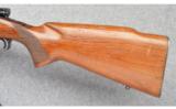 Winchester Pre-64 Model 70 in 30-06 Sprg - 7 of 9