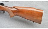 Winchester Pre-64 Model 70 FWT in 243 Win - 7 of 8