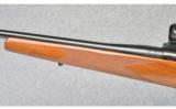Weatherby Mark V in 257 Wby Mag - 6 of 7