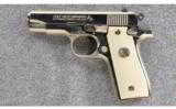 Colt MK IV Series 80 Government Model, .380 AUTO - 2 of 3
