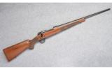 Winchester Model 70 Classic FWT in 243 Win - 1 of 8