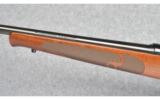 Winchester Model 70 Classic FWT in 243 Win - 7 of 8