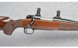 Winchester Model 70 in 243 WSSM - 3 of 9
