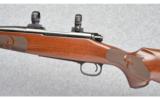 Winchester Model 70 in 243 WSSM - 4 of 9