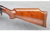 Winchester Model 1912 in 12 Gauge - 7 of 9