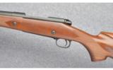 Winchester Model 70 Safari Express in 375 H&H - 4 of 8