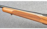Ruger M77 Custom in 7mm Rem Mag - 7 of 9