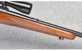 Winchester Pre-64 Model 70 Std. in 257 Roberts - 8 of 9
