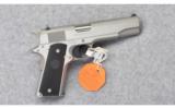 Colt 1911 Govenment Stainless in 45 ACP - 1 of 5