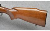 Winchester ~ Pre-64 Model 70 Varmint ~ 243 Win - 9 of 9
