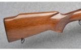 Winchester ~ Pre-64 Model 70 Varmint ~ 243 Win - 2 of 9