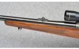 Winchester ~ Pre-64 Model 70 ~ 375 H&H Magnum - 6 of 9