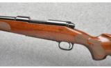Winchester ~ 70 Classic Featherweight ~ 22-250 Rem - 8 of 9