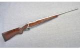 Winchester ~
Model 70 Sporter Stainless
~ 300 WSM - 1 of 9