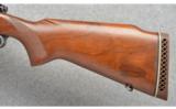 Winchester ~ Pre-64Model 70 ~ 30-06 Sprg - 8 of 9